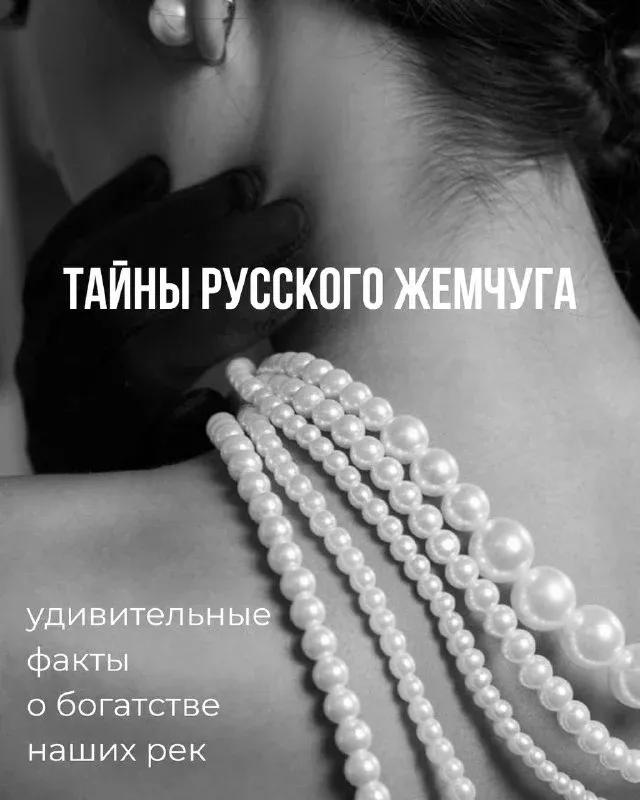 Русский жемчуг: забытое богатство северных рек Когда-то Россия была мировым лидером по добыче речного жемчуга. Его хвата
