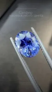 Васильковый сапфир: редкая эстетика 💎 • Вес: 3,61 карата. • Цвет: Уникальный васильковый оттенок. Невероятно глубокий и 